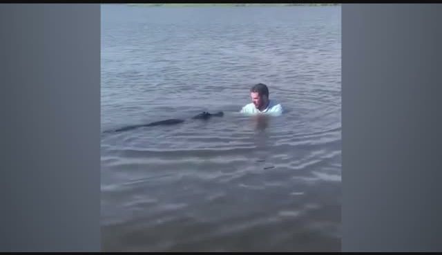 go to Alligator hug