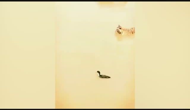 go to Catch me if you can