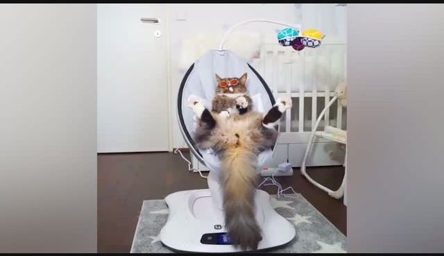 go to Relax
