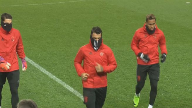 go to BVB gegen Benfica: Dortmund muss 0:1 drehen