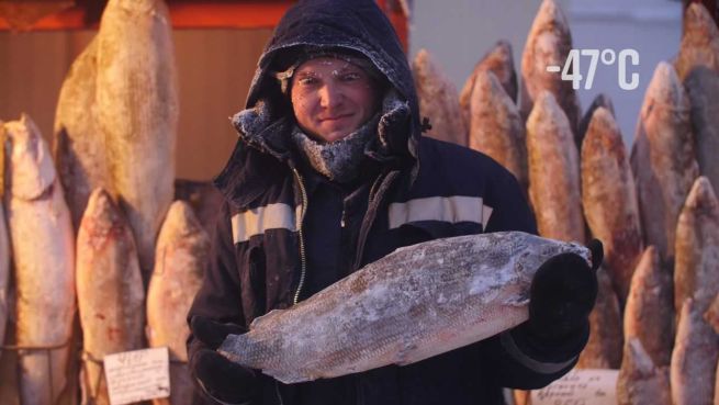 go to Der kälteste Markt der Welt: Frischer Fisch in Sibirien