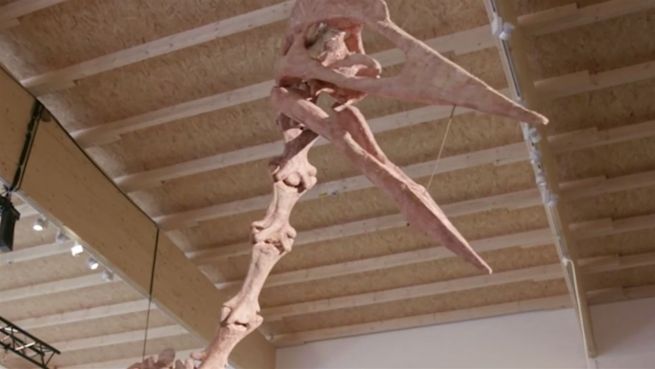 go to 'Dracula': Der Riesensaurier von Altmühltal