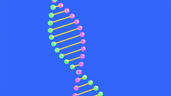 go to Alles Wissen im Eimer: Experten bauen DNA-Datenspeicher