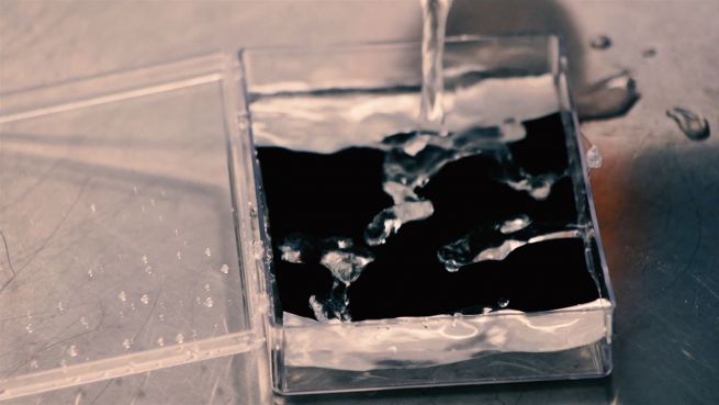 go to Zufallsprodukt im Gras-Wald: So entstand das schwärzeste Schwarz